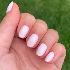 Timeless Neutrals Set